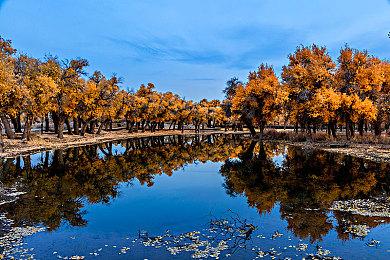 《黎明行者之血》开发商称开发顺利 未受网易影响